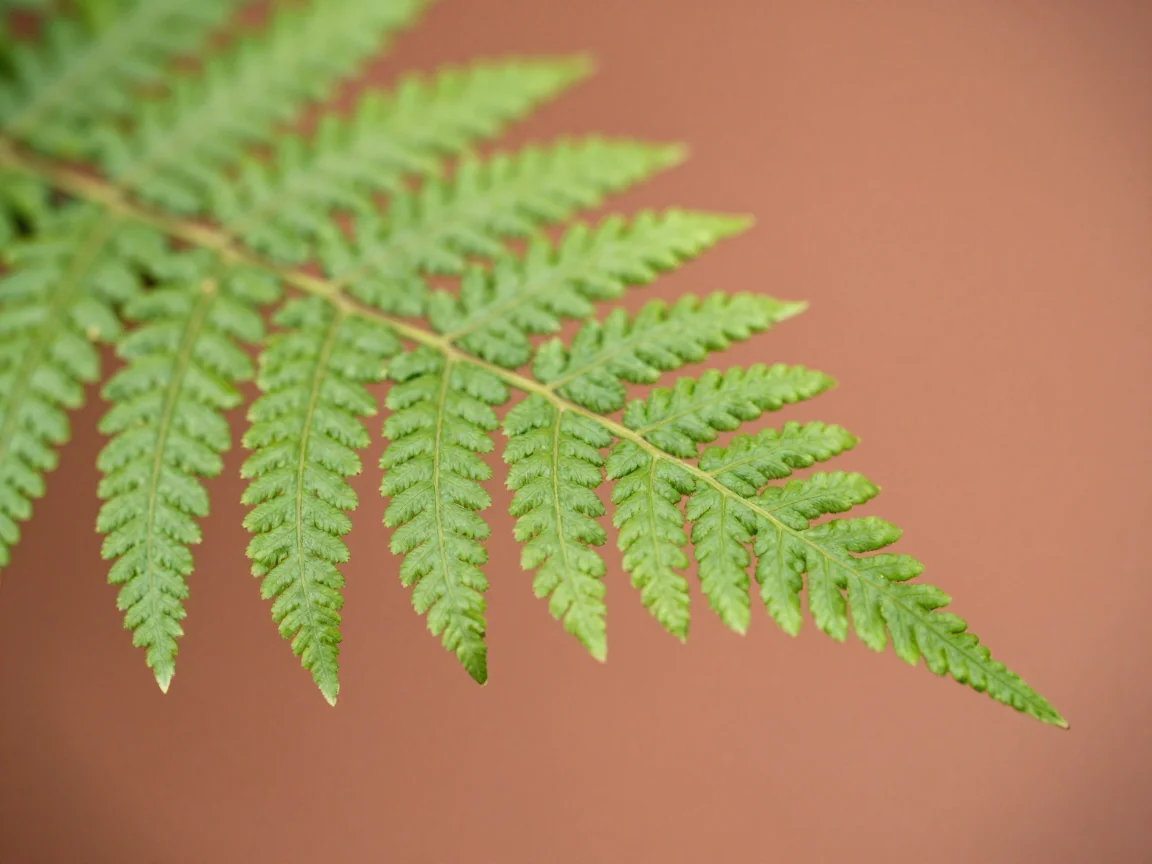 Fine leaf tips and texture in a sharp source image.